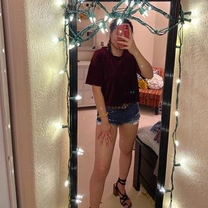 Red velvet crop top
